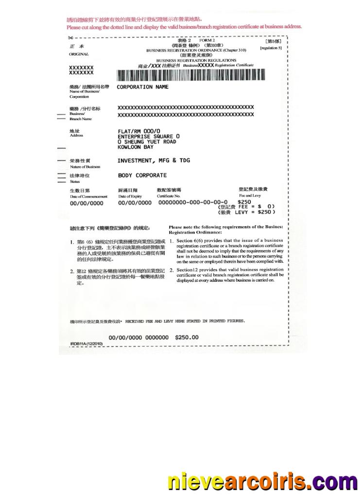 China business resgistration regulations